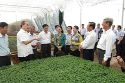 Chủ tịch Ủy ban Trung ương Mặt trận Tổ quốc Việt Nam Nguyễn Thiện Nhân thăm và làm việc tại Đồng Tháp