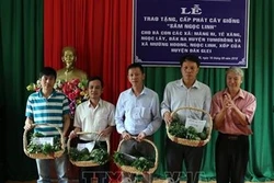 Tặng cây giống sâm Ngọc Linh cho hộ nghèo đồng bào dân tộc thiểu số ở Kon Tum