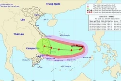 Thủ tướng Chính phủ chỉ đạo ứng phó khẩn cấp bão số 6
