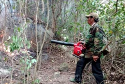 Cơ bản khống chế vụ cháy rừng tại huyện Đức Phổ