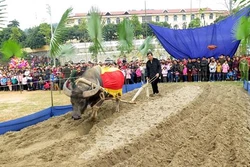 Nô nức Ngày hội xuống đồng của đồng bào dân tộc Tày