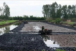 Một số mô hình sản xuất nông nghiệp thích ứng với hạn mặn
