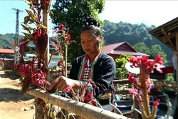 Lên Tây Bắc, cùng cộng đồng dân tộc Cống rộn ràng đón Tết hoa mào gà