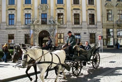 Rong chơi qua các thành phố ở châu Âu