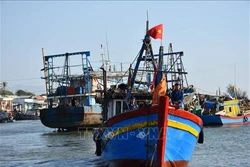 Ngư dân Bình Châu vươn khơi, bám biển