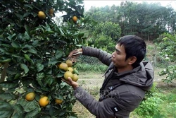 Bắc Kạn khuyến khích doanh nghiệp đầu tư vào nông nghiệp