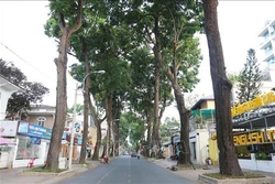 Lãnh đạo Thành phố Hồ Chí Minh mong muốn sự đồng thuận, chung sức của người dân