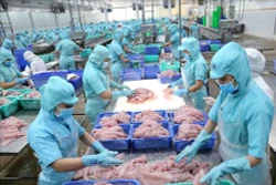 Quý I/2020, nông, lâm, thủy sản xuất siêu tăng gần 49%