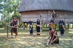 Lồ ô trong đời sống vùng Tây Nguyên