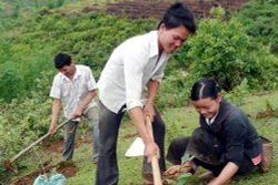 Lai Châu tích cực phủ xanh đồi núi trọc