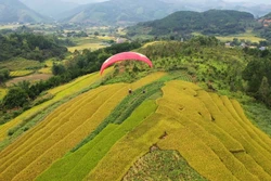 Bay dù lượn ngắm ruộng bậc thang ở Bình Liêu. Nguồn: baoquangninh.com.vn
