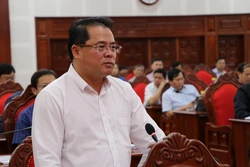 Ông Hồ Phước Thành, Phó Chủ tịch UBND tỉnh Gia Lai phát biểu tại Hội nghị. Ảnh: Hồng Điệp - TTXVN
