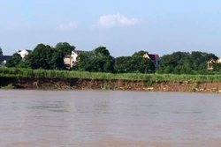 Nhiều diện tích đất bãi bồi ven bờ sông Mã đoạn qua xã Cẩm Vân, huyện Cẩm Thủy, tỉnh Thanh Hóa bị sạt lở. Ảnh: Nguyễn Nam-TTXVN