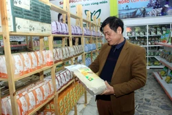 Đại biểu tham quan gian hàng trưng bày các sản phẩm OCOP của tỉnh Thái Bình. Ảnh: Thế Duyệt - TTXVN