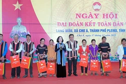 Trưởng Ban Tổ chức Trung ương dự Ngày hội Đại đoàn kết toàn dân tộc tại Gia Lai