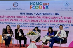 Các chuyên gia chia sẻ thông tin thương mại nông sản và thực phẩm tại hội thảo. Ảnh: Xuân Anh -TTXVN