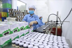 Hướng phát triển bền vững cho sản phẩm từ bò sữa