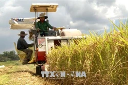 Những điểm sáng trong dồn điền đổi thửa ở Quảng Ngãi