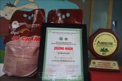Gia Lai xây dựng thương hiệu lúa Ba Chăm