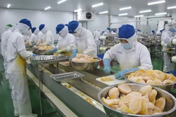 Long An: Bảo vệ môi trường trong các khu, cụm công nghiệp còn nhiều bất cập