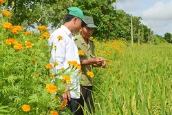 Nắng nóng tiếp tục duy trì ở Bắc và Trung Bộ