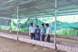 Phát triển Đảng trong vùng đồng bào Khmer (Bài cuối)