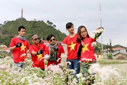 Nhiều điểm đến tại Đồng Văn thu hút khách dịp lễ hội hoa Tam giác mạch