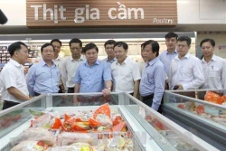 Chương trình ổn thị trường tại Thành phố Hồ Chí Minh: Vốn mồi từ ngân sách đến xã hội hóa thành công