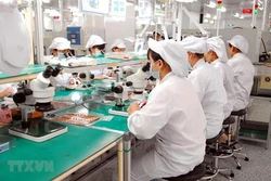 Bộ luật Lao động (sửa đổi) cần hài hòa lợi ích giữa người lao động và doanh nghiệp