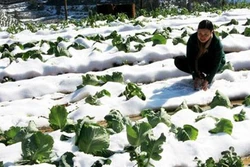 Thời tiết ngày 13/12: Miền Bắc sáng có mưa nhỏ, trời rét, vùng núi có nơi rét hại