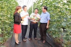Đắk Nông gắn phát triển du lịch với nông nghiệp sạch