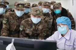 Dịch bệnh do chủng mới virus Corona: WHO khẳng định kháng sinh không có tác dụng phòng chống virus