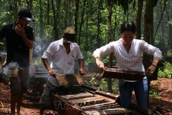Những người bỏ phố về quê khởi nghiệp
