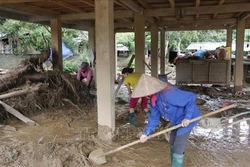  Hỗ trợ 6 địa phương phòng chống dịch bệnh động vật do ảnh hưởng cơn bão số 3