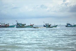 Tỉnh Kiên Giang nâng cao nhận thức cho ngư dân trong khai thác thủy sản