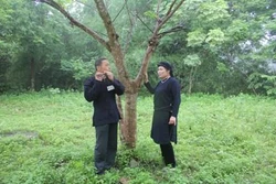 Chợ tình Xuân Dương - Nét văn hóa trong cộng đồng người Tày, Nùng
