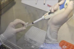 Chuyên gia Trung Quốc dự báo dịch bệnh sẽ chấm dứt vào tháng 4 - Hơn 80% số ca nhiễm bệnh là lây chéo trong gia đình