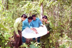 Cà Mau nỗ lực bảo vệ hơn 41.000 ha rừng trong mùa khô