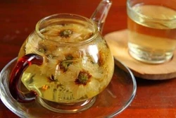 Hoa cúc chống oxy hóa, kháng khuẩn