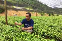 Anh Đặng Văn Phủ với mô hình ươm cây quế giống đầu tiên ở Nậm Tha