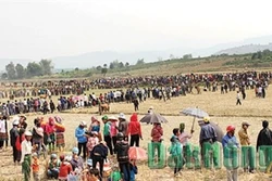 Bon làng vui hội mùa xuân
