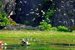 Ninh Bình phát triển du lịch gắn với bảo vệ sinh thái