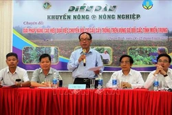 Chuyển đổi cơ cấu cây trồng vùng gò đồi miền Trung
