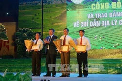 Hội trà cao nguyên Mộc Châu lần thứ 3