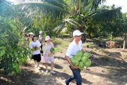 Bình Thuận triển khai chương trình kích cầu du lịch năm 2021