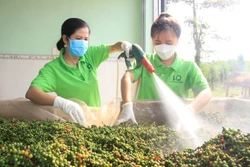 Từ vị trí “dự trữ”, Bình Phước đang trở thành “động lực” phát triển của toàn vùng