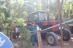 Tây Ninh chủ động phòng cháy và chữa cháy rừng trong mùa khô