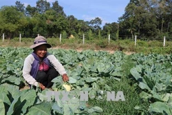 Trà Vinh giảm hơn 4.000 hộ nghèo