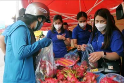 Đoàn viên thanh niên Tỉnh đoàn Sơn La bán các mặt hàng nông sản cho nông dân của tỉnh Sơn La tại Chương trình. Ảnh: Quang Quyết-TTXVN