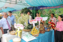 Hàm Thuận Bắc phát huy tiềm năng, vươn lên giầu mạnh